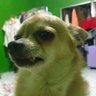 Profilbild von เอสคับ