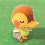 nuga_harae's profile picture
