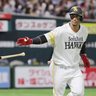 ぱぴこぺ 的头像