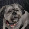 Profilbild von *поправил