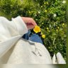 Büşş 🌼's profile picture