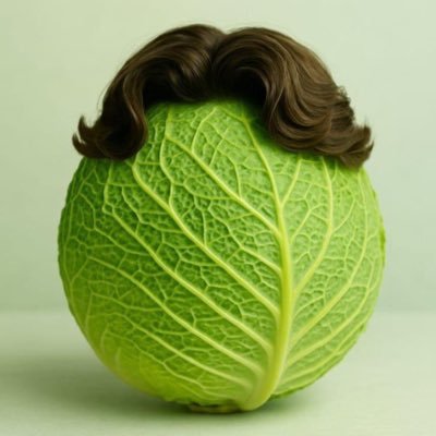 Jordan 🇬🇧's profile picture