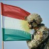 Zagros ✹ 's profile picture