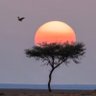 يوسُف's profile picture