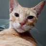 Profilbild von Masood
