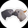Profilbild von りっき