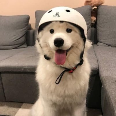 Khun__bar's profile picture