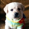 kleio🌷's profile picture