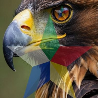 Sayyad010's profile picture