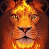 T. H. Lion 🦁's profile picture