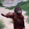 Xan's profile picture