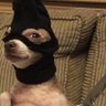 T-Weezy's profile picture
