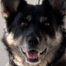 Profilbild von YYC
