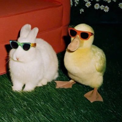 here ᝰ͙ 🍞's profile picture