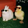 here ᝰ͙ 🍞 (busy) profil fotoğrafı