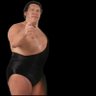 Фото профиля Andre the Giant Treasures