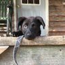 Ingreenmts's profile picture