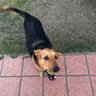 augusto profil fotoğrafı
