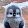 Profilbild von KS