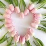 علاء / علوش profil fotoğrafı