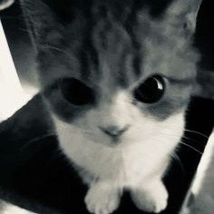 eskyy's profile picture