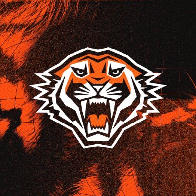 Wests Tigers's profile picture