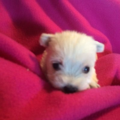 07's profile picture