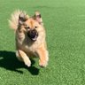 멜빵바지 profil fotoğrafı