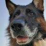 LUCY_LUCY profil fotoğrafı