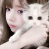Profilbild von 卿卿