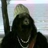 Jambavantha🙂's profile picture
