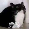 咩niac's profile picture