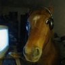 🐴🍷's profile picture