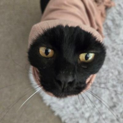 megthecarver's profile picture