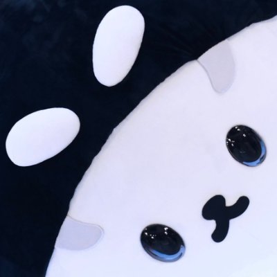 naa.'s profile picture