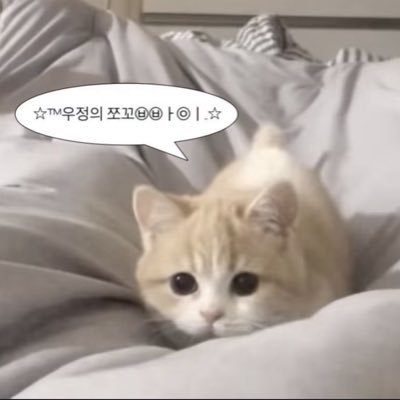 我不认识你(恩师Tequila's profile picture