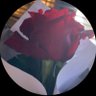 Profilbild von ريم خليفه🕊️