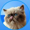 Mr. Miggles 的头像