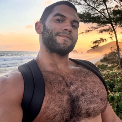 Peitudo e Posturado's profile picture