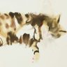 kittenhair's profile picture