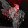 Bantam Rooster 的头像