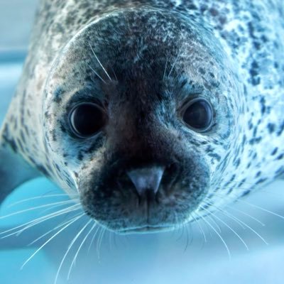 彦にゃん's profile picture