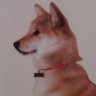 新しい仔犬のしっぽ♡ profil fotoğrafı