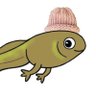 Profilbild von Mr. Tadpole 🛡️