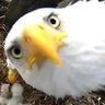 Bryce Florreich's profile picture