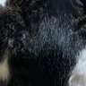 雑多アカ⚠️ミュート推奨 profil fotoğrafı