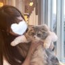みりむりむる 的头像
