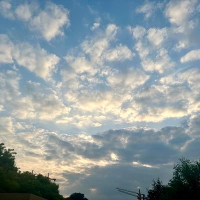 x's profile picture