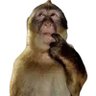 Profilbild von Hanzomain123