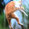たらったーsub's profile picture
